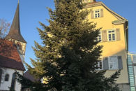 Weihnachtsbaum im Anflug 