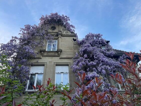 Energetische Sanierungen sind trotz Denkmalschutz machbar und sinnvoll