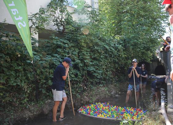 Entenrennen - Start