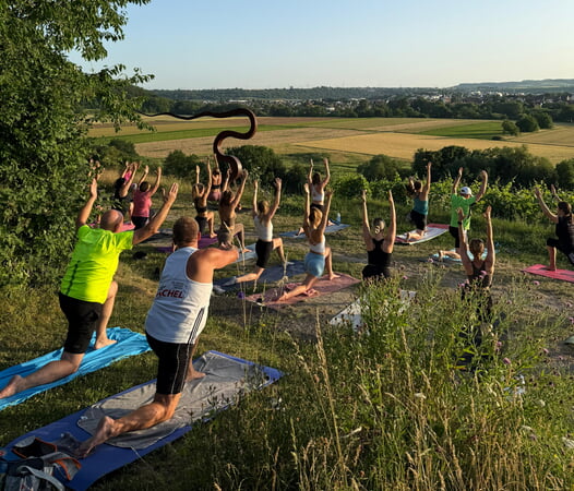 Yoga auf der Weinterrasse