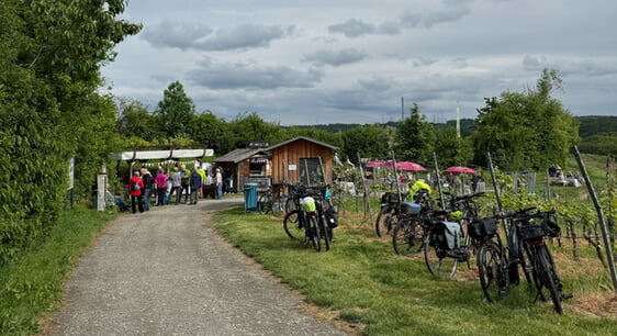 Blick auf die Stände