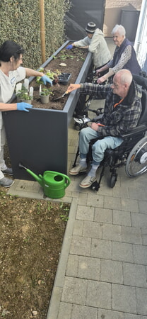 Fr&uuml;hlingsbepflanzung im Anna-Riecker-Haus in Kirchheim/N.