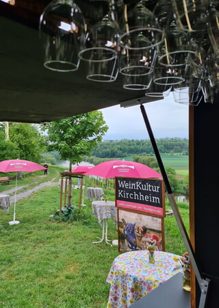 Blick auf die Weinterrasse