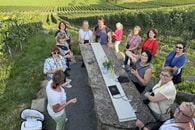 Weintour an der Neckarschleife: Ein unvergessliches Erlebnis für die Mitarbeiter der Sozialstation Bönnigheim e.V.