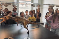 Ferienprogramm im Deutschhofmuseum