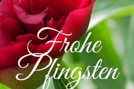 Frohe Pfingsten