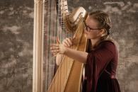 Aktuelles aus der Musikschule