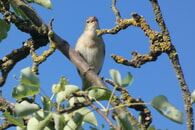 Durch die Natur im Fr&uuml;hling
