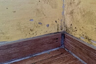 So verursachen W&auml;rmebr&uuml;cken Schimmel