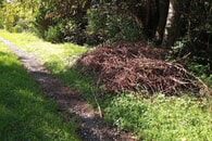 Der Garten im Herbst/Unterkünfte für Kleintiere im Garten