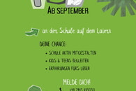 Freie FSJ-Stelle Schule