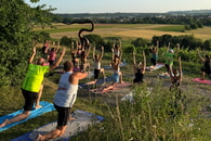 Sommerprogramm: Yoga auf der Weinterrasse