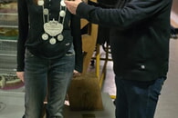 Jedermann-Schie&szlig;en 2026 &ndash; Teil 2