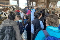 Schullandheim unserer 5er auf dem Schulbauernhof &bdquo;Zukunftsfelder&ldquo; in Korntal-M&uuml;nchingen